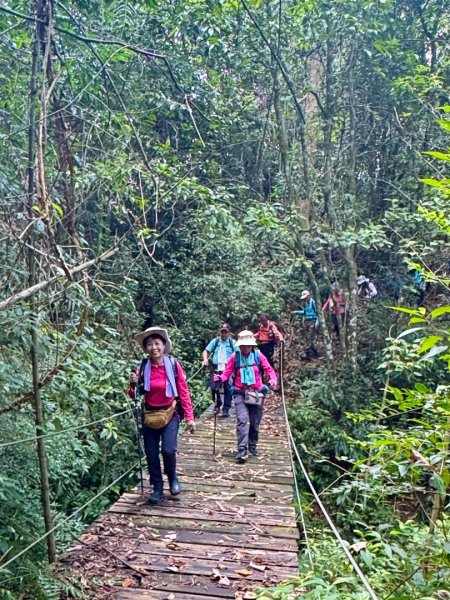 阿里眉山+大舌滿山（路跡不明/未竟 ）2864617