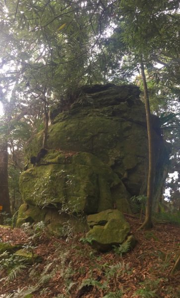 南庄龍❤️、向天湖山、光天高山、大龍山、小東河山2333972