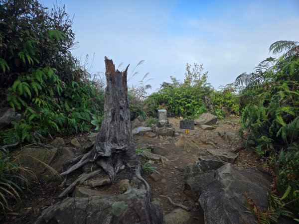 水雲三星～上島山（鳥嘴山）2931254