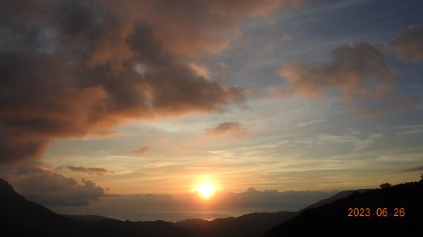 雲山水花鳥蝶 - 天龍國阿伯的日常 6/262195479