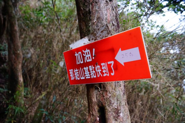 新竹關西鎮 水田林道之貴妃&那結山連走1539730