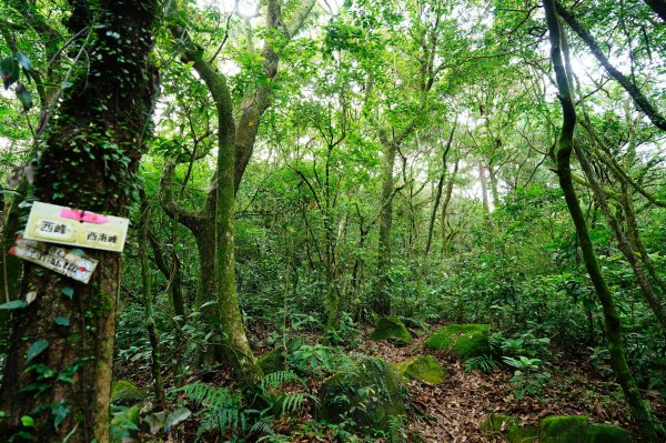 新北 三芝 小觀音山群峰3085452