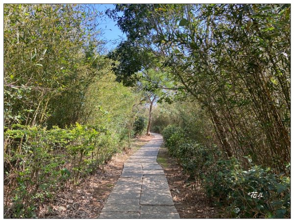 老崎古道、老崎坪頂山 (頭份)2737151