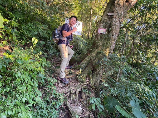 北插天山.赫威山.多崖山.神木群【天堂與地獄並存的神級路線】2390820