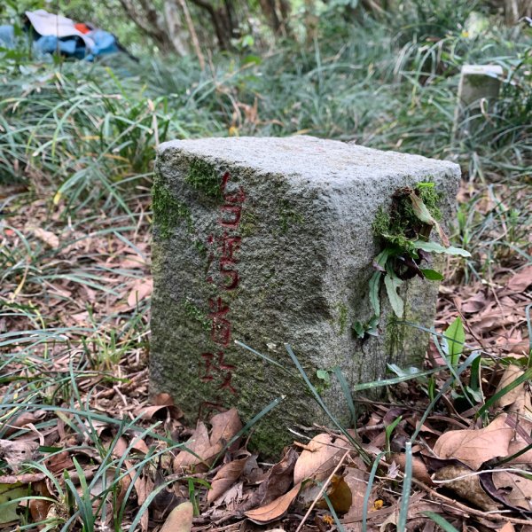 20250621屏東巴士墨山-草埔後山2821407