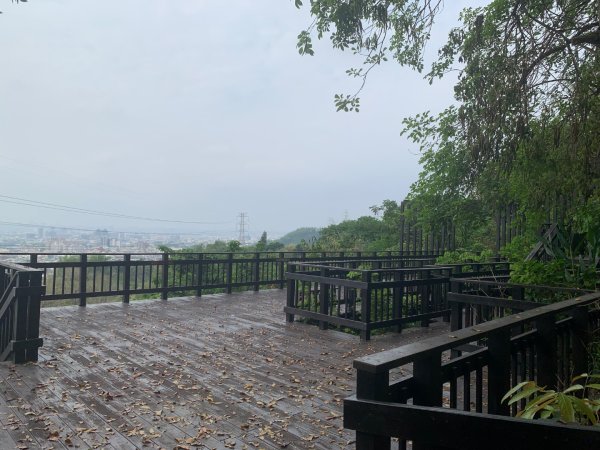 阿罩霧山、中心瓏步道2768917