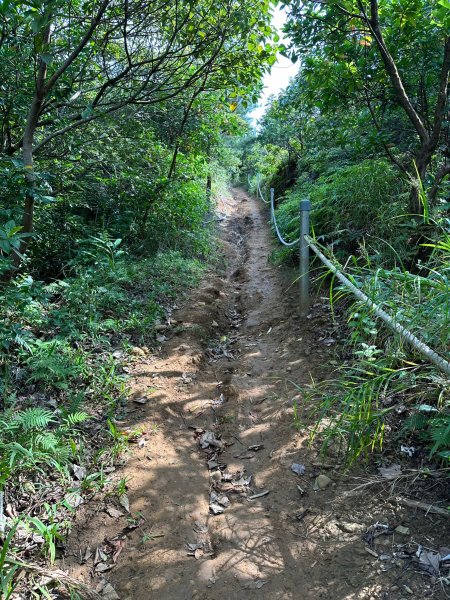 第二天蘭嶼之旅大天池步道和青青草原2117215