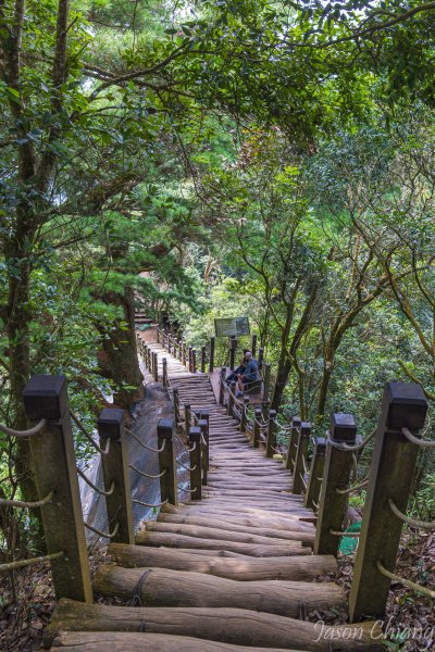[台中]頭嵙山3130594