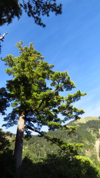 超越自我奇萊南華行24206