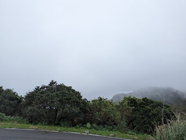 2023-02-11 忘憂谷步道2792583