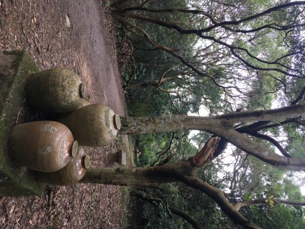 五酒桶山、南崁山2693341