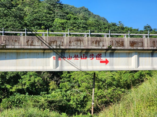 小百岳No.10⛰五分山2883136