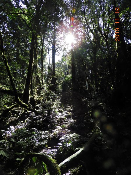 桃園 復興 復興尖山730101