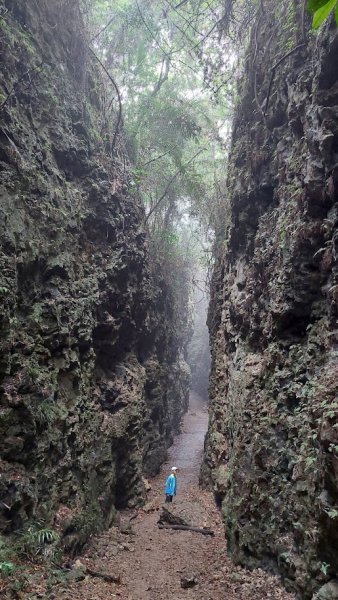 大崗山盤龍峽谷步道2114016