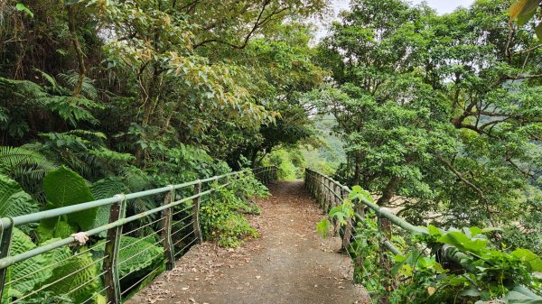 抹茶山，聖母登山步道，隆隆山，福卯古道，水柳腳登山步道，觀音台步道，北勢溪自行車道2340560