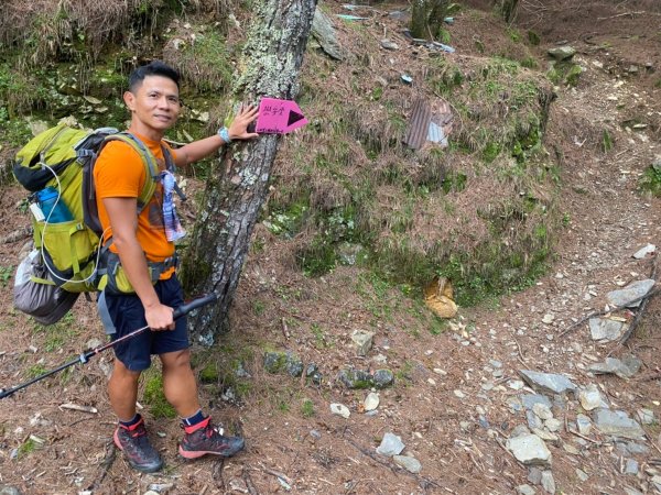 雙龍林道-巒安堂-西巒大山【一切都很美好 除了肩膀之外】2567810