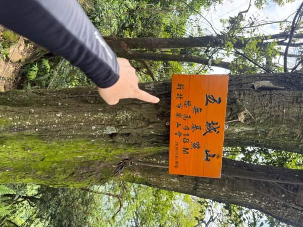 偷吃步之台北天際線第十段2777824