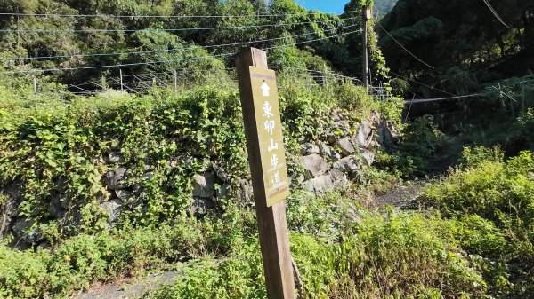 東卯山(谷關七雄No:5)3129240
