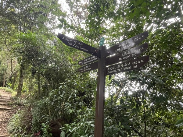 [微笑山線_第五段] 2025_0705 天上山系_南勢角山2830443