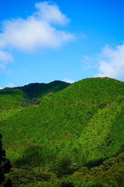 四國遍路88寺朝聖+熊野古道PART1867541