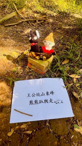 🌈11/8（六）桃園神社+虎頭山風景區尋找10連峰✨FB：熊熊趴爬走🌈2932465