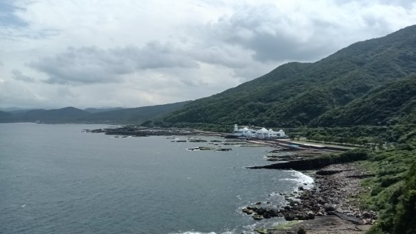 貢寮區龍洞灣岬+金沙灣野百合花3049178