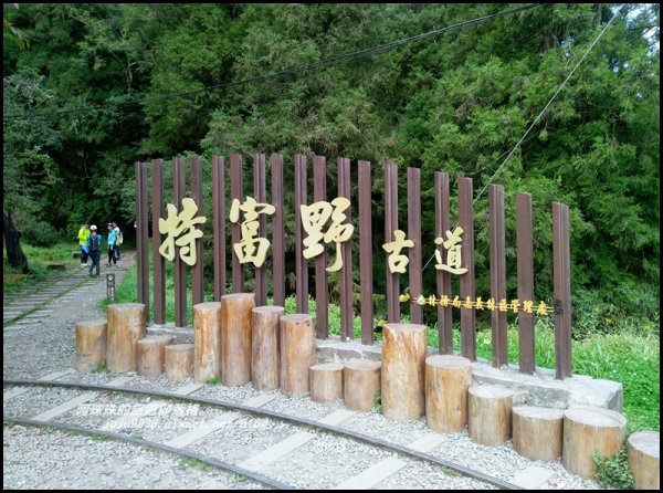 嘉義。特富野古道。鐵道森林最美的步道422550