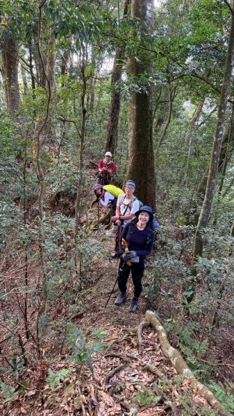 南庄鵝公髻山東河線2970574