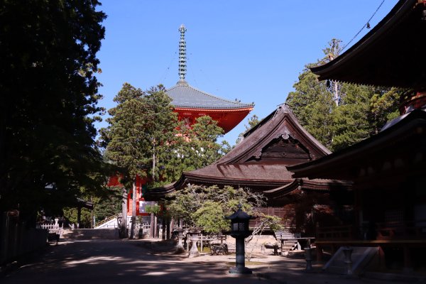 熊野参詣道小辺路：山と村をつなぐ古の道2923363