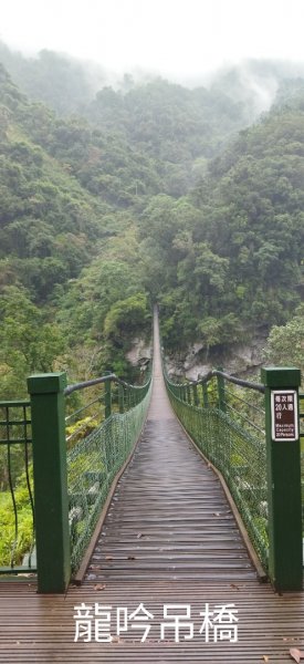 富源國家森林遊樂區、龍吟瀑布、龍吟吊橋、富源吊橋1988495