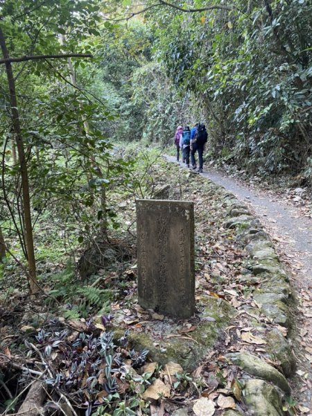 白毛山3059663