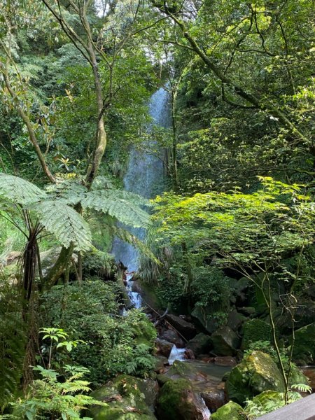 絹絲瀑布-冷水坑-七星山-夢幻湖-冷水坑1659127