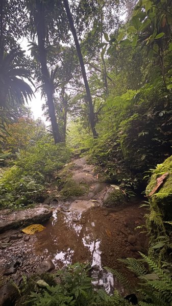 雙石縱走 O還2️⃣3050651