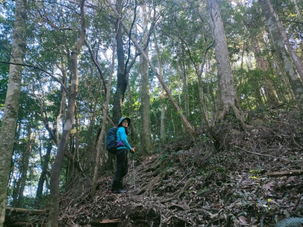 1110109 大混山縱走李崠山1577182