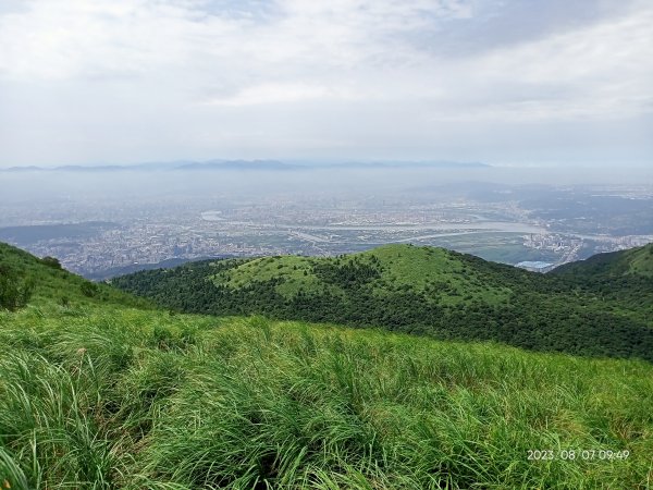 【臺北大縱走 2+1】鞍部→大屯山主、南、西峰連走→面天坪→清天宮2242876