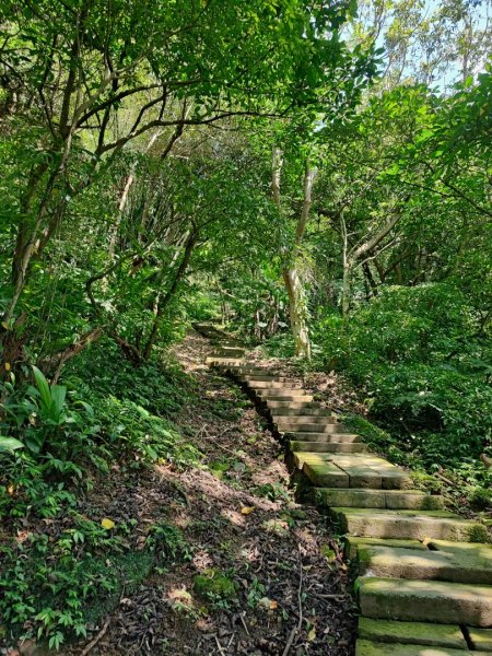 天上山-小百岳#18-新北市土城區2246880