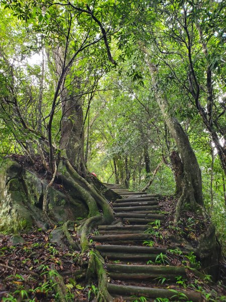 小百岳-馬那邦山1082603