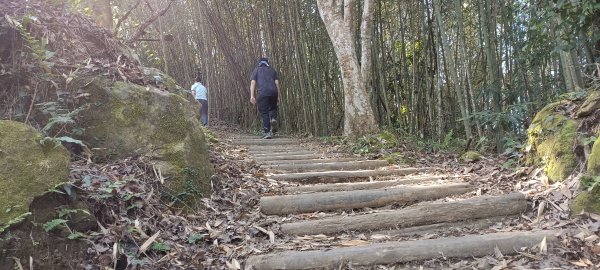 20220312_馬那邦山 細道邦山南峰 細道邦山1637050