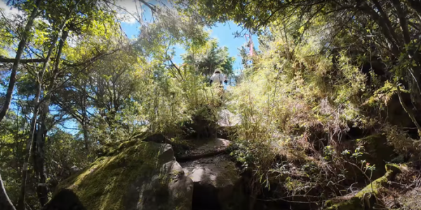 塔塔加五連峰2831427