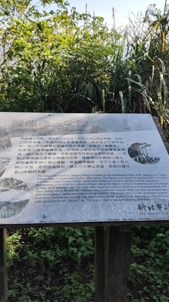 微笑山線：【大棟山系】405高地段2937006