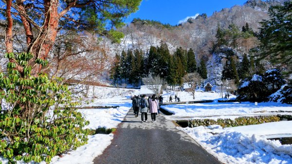 冬日的祈禱合掌村2981204