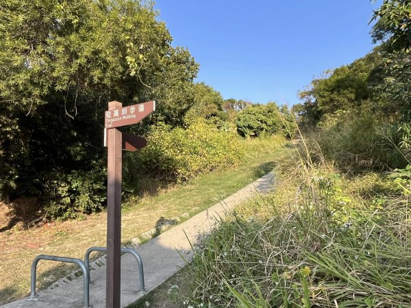 知高圳步道2711607