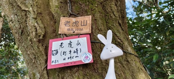 2025/03/01_打牛崎+八寮古道O型2724110