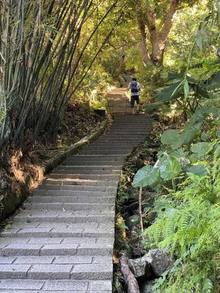 2024/09/16 天母古道（水管路） 紗帽山2884390