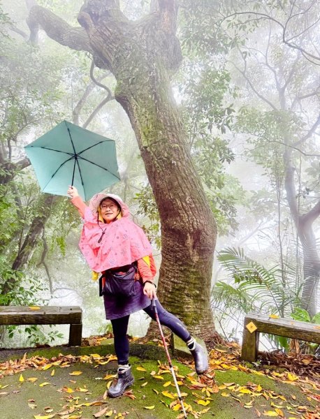 獅山 六寮古道 獅頭獅尾走一圈2992730