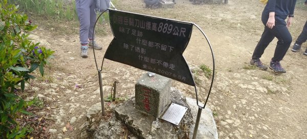 2024/12/14_關刀山步道O型2669305