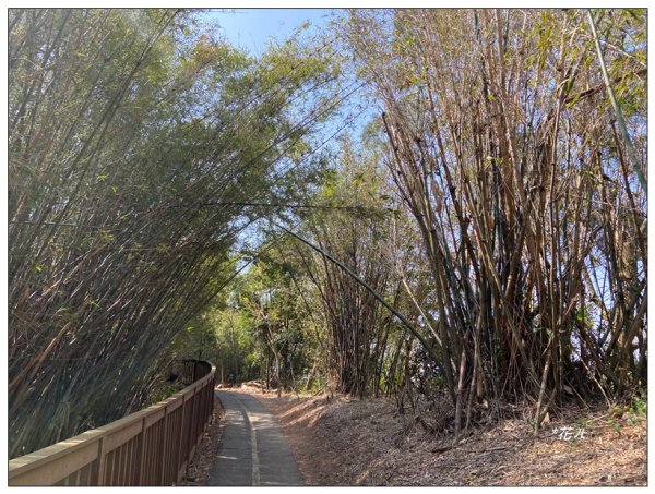 老崎古道、老崎坪頂山 (頭份)2737163