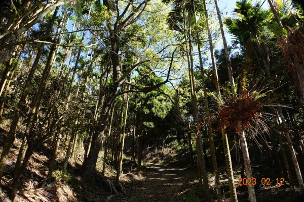 嘉義 竹崎 大坑山2032205