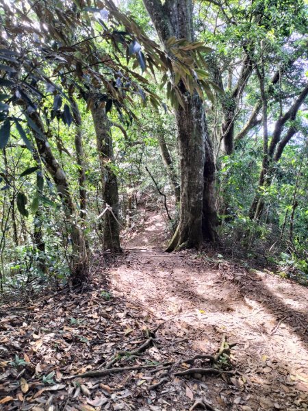 五指山登山步道2269259