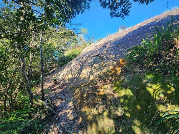 20250323慈湖草嶺山 ~ 五寮尖2781019